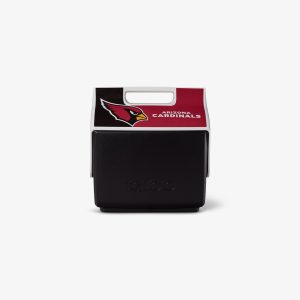 Arizo Cardina Litt Playma   Cooler