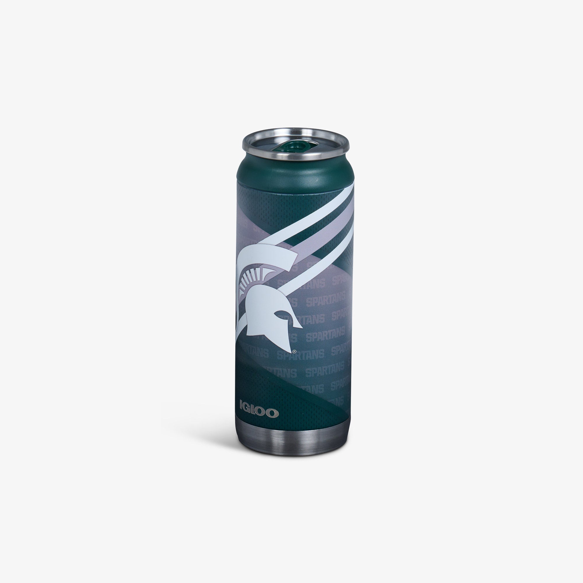 Michig Sta Universit Can - Image 2